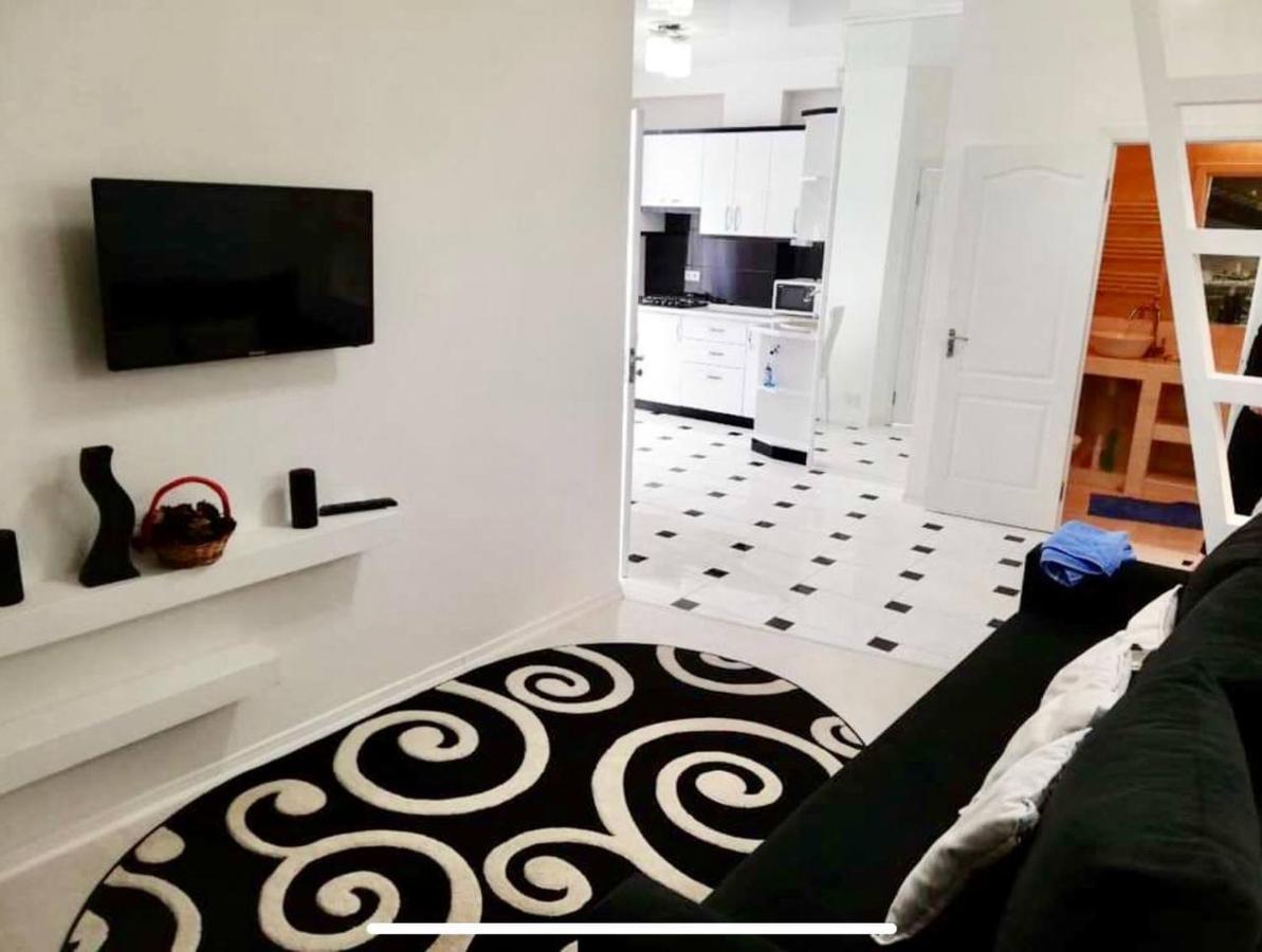 Bright Central Apartment Kisinyov Kültér fotó